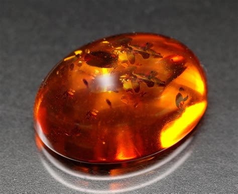 is baltic amber valuable.